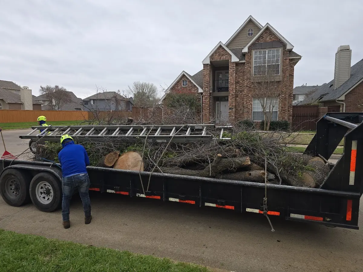 Expert Tree Fertilization with proper safety equipment in Duff